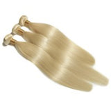 Babe-shell Blonde Bundle